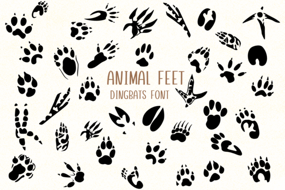 Animal Feet: A Playful Dingbat Typeface for Creative Branding