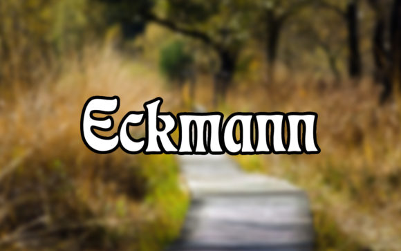 Eckmann: A Strategic Review of This Stunning Serif Font for Campaign Design